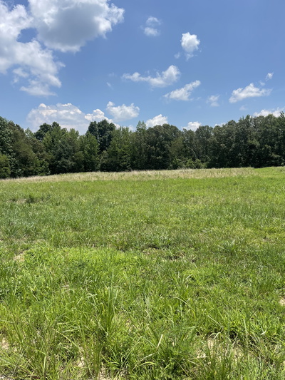 0 Summerlake Ct