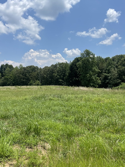 0 Summerlake Ct
