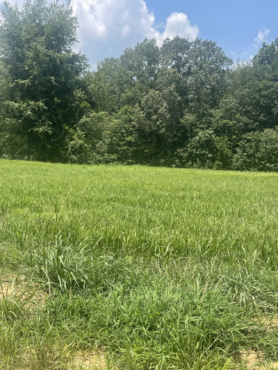 0 Summerlake Ct