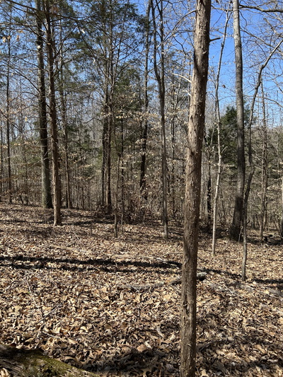 820 Lucas Rd
