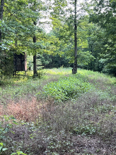 1 Cane Creek Road