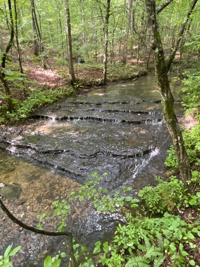 0 Firetower Rd
