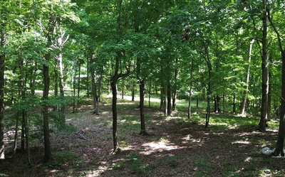 0 Waynoe Road