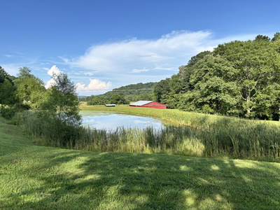 3807 Bear Creek Rd