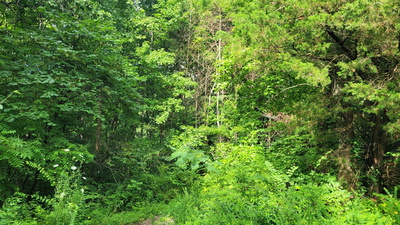 1 Sugar Ridge Rd