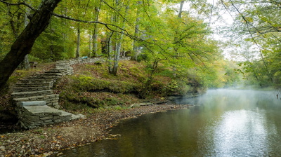 Exterior view of 170 Warriors Path Ridge Rd in Summertown, TN