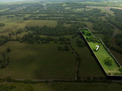 7 Double Branch RD