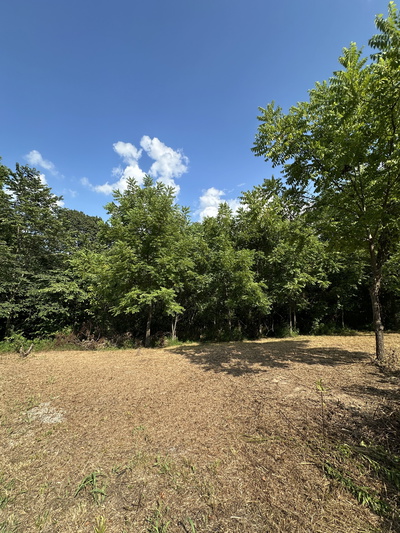 0 Rustling Oaks Ct