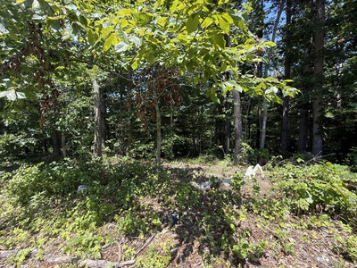 0 Trailwood Ct