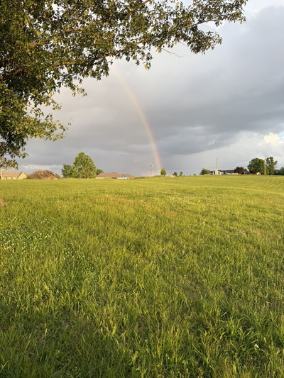 1402 Fairview Dr