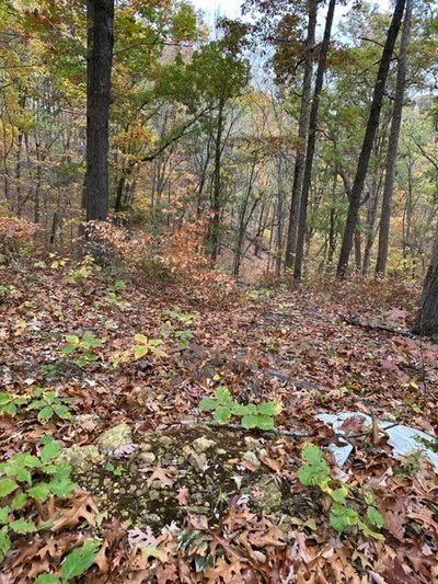 7959 Charlotte Pike