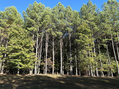 2035 Crockett Point