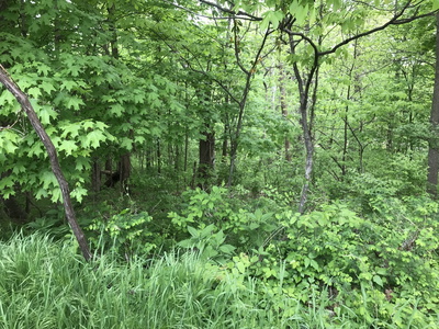 1915 Appomattox Dr