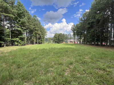 81 Crockett Loop