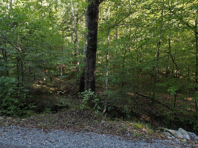 1 Cave Branch Rd