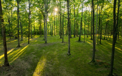 1 Peach Hollow Rd