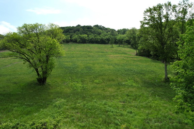 1803 Burke Hollow