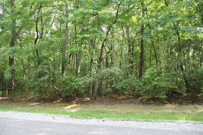 0 Chestnut Hollow Trail