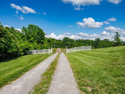 904 Weeping Willow Rd