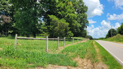12 Dixon Rd