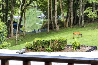 35 Cedar Ln