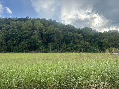 0 Lees Creek Rd