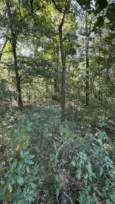 8322 Horton Hwy
