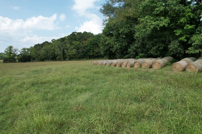 1 N Lick Creek Rd