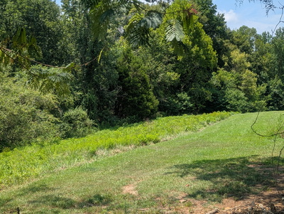 0 Lake Bluff Rd