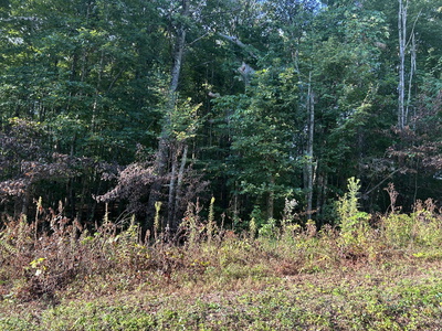 0 Panther Branch Road