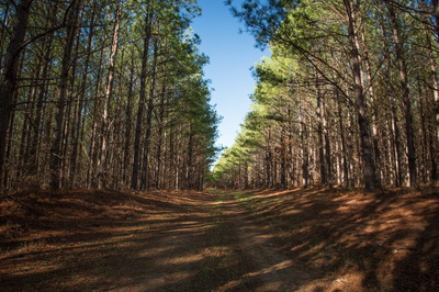 0 Mayfield Divide Rd