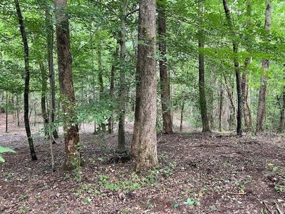 822 Myers Cove Rd