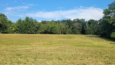 7 Dixon Rd