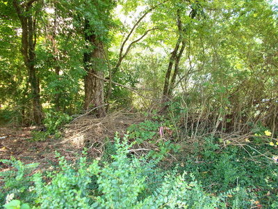 0 W Walnut St