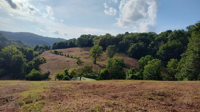 0 Hurricane Creek Rd