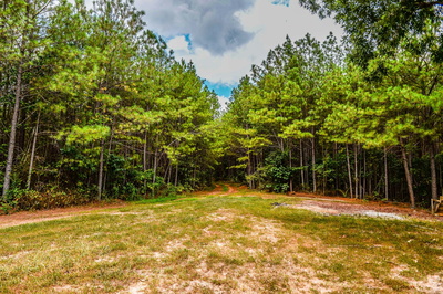 0 Brush Creek Road