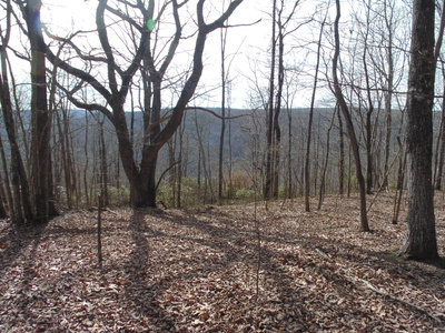 0 Nancy Wynn Rd