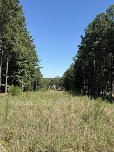 1080 Crockett Loop