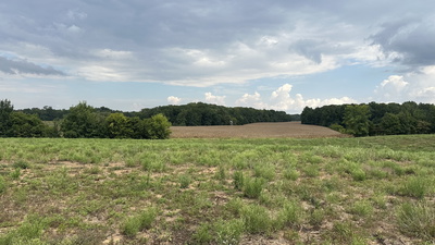 2 William Woodard Road