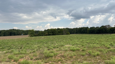 3 William Woodard Road