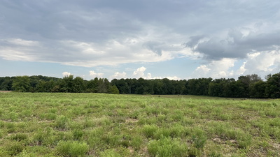 4 William Woodard Road