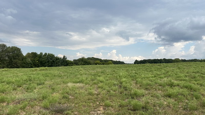 1 William Woodard Road