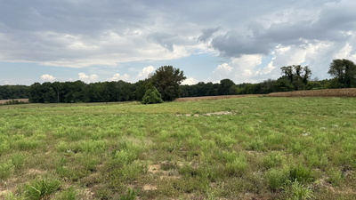 5 William Woodard Road