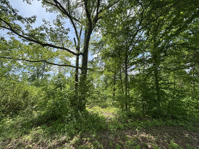 Exterior view of 0 Joslin Branch Rd in White Bluff, TN
