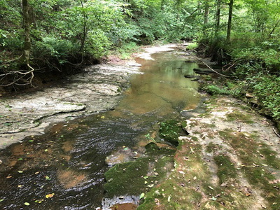 2270 Shuler Branch Rd