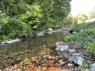 740 Hogans Branch Rd