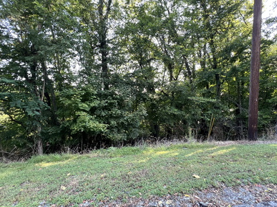 8 Jarrell Ridge Rd