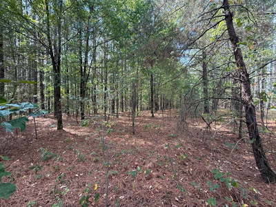 145 Brier Hill Rd