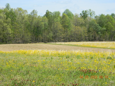 Exterior view of 0 Ledford Mill Rd in Normandy, TN