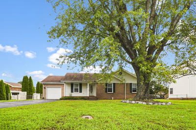 3421 Polly Drive